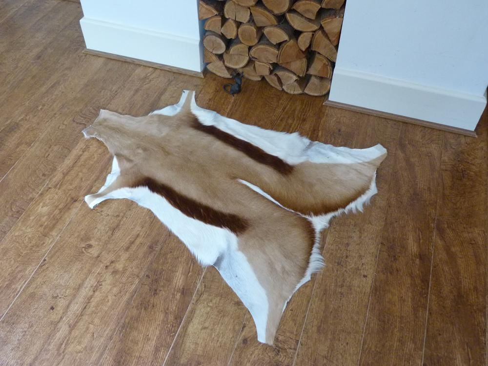 Springbok Hide Rugs Hide Rugs