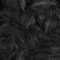 0101 Close-up of long, thick black Icelandic sheepskin wool texture.