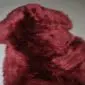IMG_0058 Merlot red sheepskin rug with thick, curly wool pile.