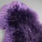 IMG_0111 Close-up of a purple sheepskin rug with long, thick wool fibres.