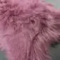 IMG_0902 Close-up of a dusty rose Icelandic sheepskin rug with long, thick, textured wool fibres.