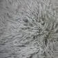 Close-up of oyster-coloured curly sheepskin wool texture.