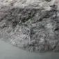 Close-up of a grey shorn Icelandic sheepskin rug showing thick, textured wool fibres.