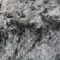 Close-up of a grey shorn Icelandic sheepskin rug showing thick, curly wool texture in varying shades of charcoal and silver.