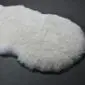 Ivory shorn Icelandic sheepskin rug with a thick, curly wool texture and natural organic shape. detail view