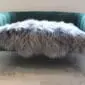 Long-haired grey Icelandic sheepskin rug laid flat.