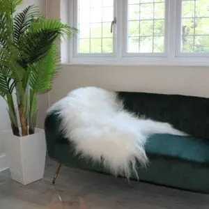 Icelandic Sheepskin Rug Ivory MED
