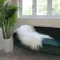 Extra large ivory Icelandic sheepskin rug with long, shaggy wool laid flat.
