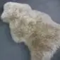 Small stone-coloured sheepskin rug with thick, textured wool and a natural organic shape.