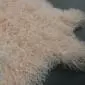 Blush pink Mongolian lambskin rug with long, curly wool fibres and an irregular natural shape. detail view