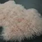 Blush pink Mongolian lambskin rug with long, curly wool texture. detail view
