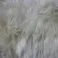 Close-up of thick, long-pile ivory sheepskin wool texture.