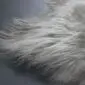 Close-up of a linen-coloured Icelandic sheepskin rug with long, thick, natural wool fibres.