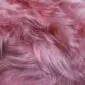 Close-up of long, shaggy light coral pink Icelandic sheepskin wool fibres.