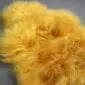 Golden yellow Icelandic sheepskin rug with long, shaggy wool fibres.