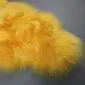 Long-pile golden yellow Icelandic sheepskin rug with a natural organic shape.