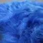 Close-up of a cobalt blue Icelandic sheepskin rug with long, thick wool fibres.