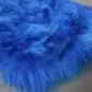 Cobalt blue Icelandic sheepskin rug with long, thick, shaggy wool fibres.