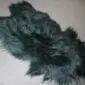Long-haired Icelandic sheepskin rug in bottle green with a natural, irregular shape. detail view