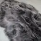 IMG_8544 Close-up of a graphite grey Icelandic sheepskin rug with long, wavy wool fibres.