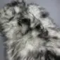 Long-haired Icelandic sheepskin rug with a natural mix of white, grey and black wool.