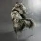 Long-haired Icelandic sheepskin rug with natural grey, cream and dark brown tones laid flat.