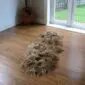 IRBD - Copy - Copy Long-haired double Icelandic sheepskin rug in rusty brown on a wooden floor.