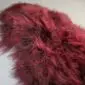 Burgundy red Icelandic sheepskin rug with long, thick, shaggy wool fibres.