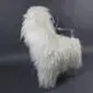 Large ivory Icelandic sheepskin rug with long, curly wool laid flat.
