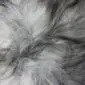 Close-up of a natural grey Icelandic sheepskin rug with long, textured wool fibres in varying shades of grey and white.
