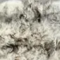 Rug-009a Close up of a light grey and white Icelandic sheepskin rug with long, textured wool fibres.