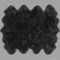 Large octo sheepskin rug in black with a natural scalloped edge and thick wool pile.