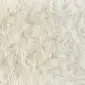 Rug-046a Close-up of a cream Icelandic sheepskin rug showing thick, long and wavy natural wool fibres.