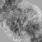 Rug-096a Double sheepskin rug with long, thick grey and white wool fibres.