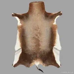 Blesbok Hide Rug B57