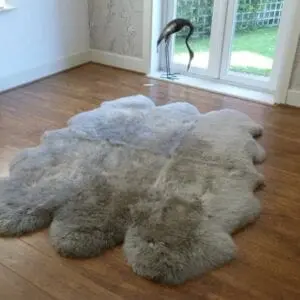 Large, multi-pelt sheepskin rug in vole grey with a thick, fluffy texture and natural scalloped edges.