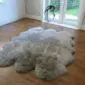 Large, multi-pelt sheepskin rug in vole grey with a thick, fluffy texture and natural scalloped edges.