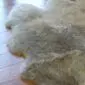 Large, thick pile vole grey sheepskin rug with a natural curved edge on a wooden floor.