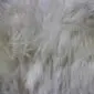 Close-up of ivory sheepskin with long, thick, textured wool fibres.