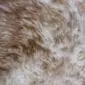 Close-up of thick, textured sheepskin wool in mottled shades of cream and brown.