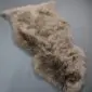 SHEEPSKIN RUG NZS-Taupe (5) Natural shaped taupe sheepskin rug with thick, textured wool pile.