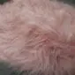 Close-up of a pale pink Icelandic sheepskin rug with long, thick, textured wool fibres.