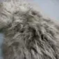 Close-up of a taupe Icelandic sheepskin rug with long, thick, natural wool fibres.