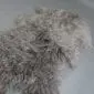 Long-haired Mongolian lambskin rug in vole grey with a natural curly texture. detail view