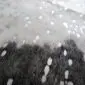 Close-up of a black and white cowhide rug with silver metallic splatters. detail view