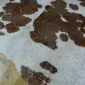 Natural cowhide rug with brown patches and rose gold metallic speckles on a white background.