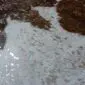 Close-up of a brown and white cowhide rug with metallic rose gold speckles.