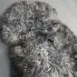 Grey Curly Gotland Sheepskin Rug GOT155 (3) Close-up of a natural grey sheepskin rug with dense, curly wool fibres.