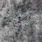 Close-up of a natural grey sheepskin rug featuring dense, curly wool fibres.