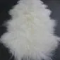 Long ivory Mongolian lambskin rug with curly, textured wool and a natural double pelt shape.